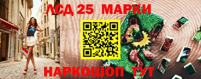 молекула духа Кингисепп