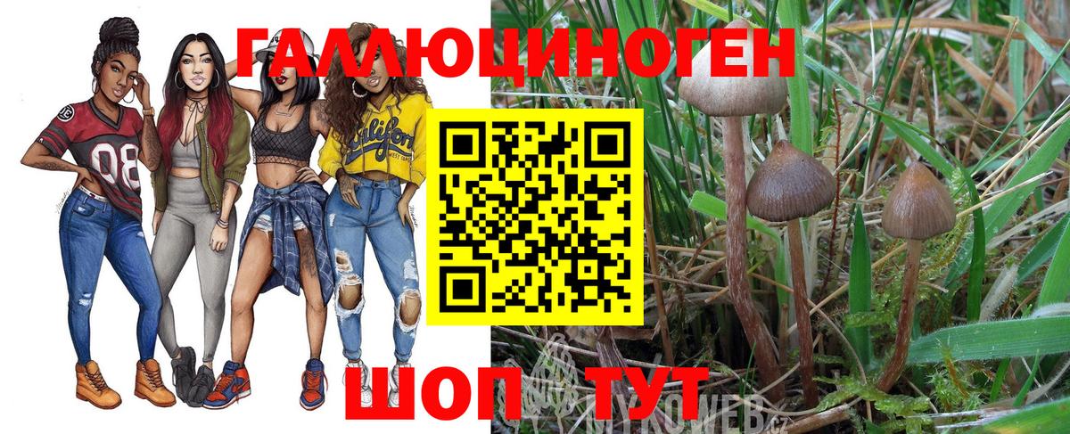 Псилоцибиновые грибы ЛСД  Галлюциногенные грибы мицелий  Котовск  Вход с VPN 